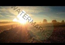 Adolf Hitler – “We Will Have Won”